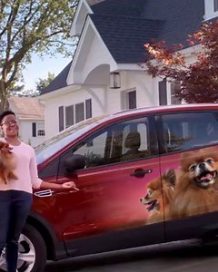 1.7K views · 1.7K reactions | Switch and save an average of 21% on auto insurance. Because your dog has places to be. | State Farm | Facebook