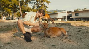 99K views · 3.7K reactions | Asia 2019 | Flume | Facebook