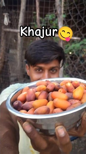 Garmi Me Meethe Khajur 😋| #minivlog #khajurfruit #fruitcutting #shortvideo