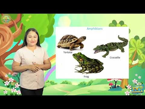 SCIENCE 3: Animals in their Surroundings