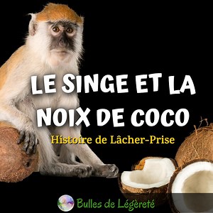 Le singe et la noix de coco | Histoire inspirante pour lâcher prise - Bulles de Légèreté