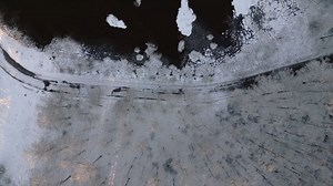 Trees, Forest, Sunrise. Free Stock Video