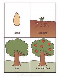 1st Grade Remote Learning April 20-24