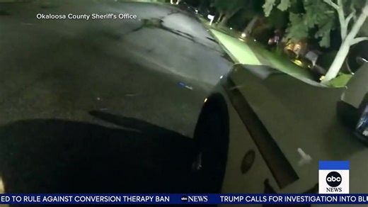 461K views · 21K reactions | A heroic hound named Eeyore sprang into action when his owner's 86-year-old mother fell during a walk. Lara Spencer has heartwarming story that was caught on camera. | Good Morning America | Facebook