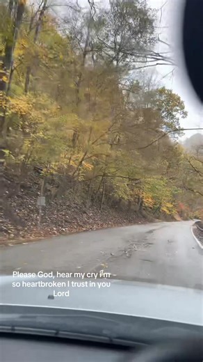 Shirley Yawn on Reels