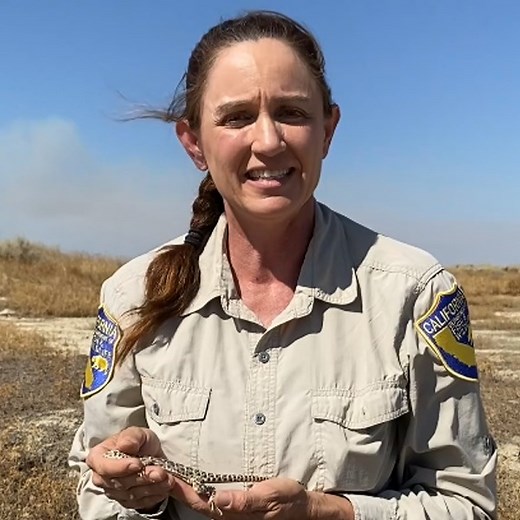 There are more than 5,000 native plants in the state, 32 percent of all plant species in the United States and a third of all these plants are only found in California. This is just one example of why California is globally recognized as one of only 36 biodiversity hotspots in the world. Plants and other species are the building blocks of life on Earth and support the incredibly unique ecosystems that make California special. California is also a hotspot of biodiversity loss from human-threats s