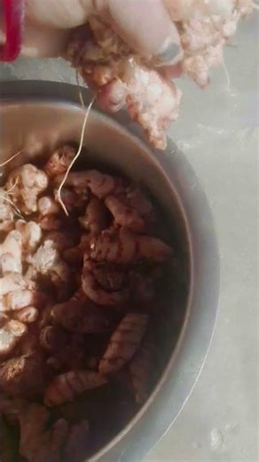 aaj ka block 🙏🙏🙏❤️❤️❤️🙏🥰🥰🥰🥰❤️❤️❤️🙏👍