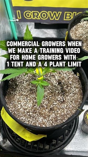 Somehow you ended up on the home-grower having fun algorithm 🤷