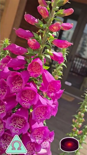 🧬 Decoding Nature's Algorithm: The True Organic Matrix! 🌸 (Must Watch) 👁️