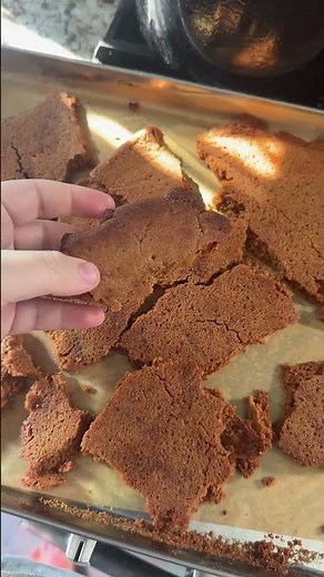 Homemade graham cracker crumbs