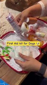 First Aid kit for dogs #doghealth #pets #petwellness #dogtips #dogsupplements