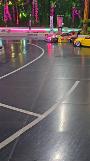 Two rare beasts | Asbo RC