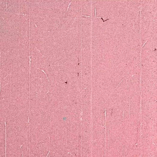 52K views · 1.7K reactions | Day of the Dead has come to the Origin...