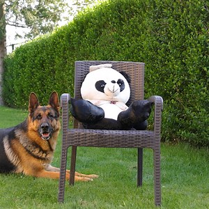 138K views · 490 reactions | Dirty Teddy Bear satisfying ASMR cleaning! | Trendy Magazine | Facebook