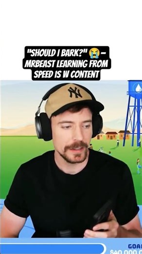 “Should I bark?” — MrBeast learning from Speed is W content🤣 #shorts