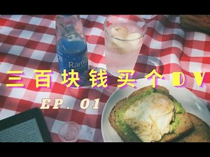 One Day in Sony Handycam DCR-SR42