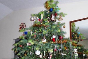 Why is my Christmas tree beginning to grow?