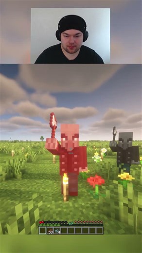 Day 26 of Killing Two Vindicators Unarmed in Minecraft #shorts #viralshorts