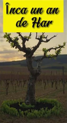 Pilda smochinului – lecția pe care trebuie s-o auzi #dumnezeu #evanghelie