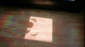 GORGECRAFT 16PCS Animal Window Decals Static Rainbow Turtle Glass Sliding Door Sticker Snake Decal Lizard Clings Non Adhesive Prismatic Vinyl Film Stickers for Windows Prevent Stop Birds Strikes