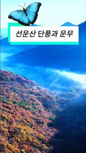 Seonunsa Temple Autumn Leaves and Clouds #Seonunsa #SeonunsaTempleAutumn #GochangTravel