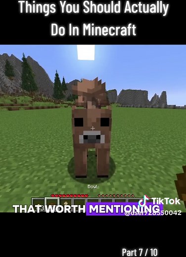 Things You Should Actually Do In Minecraft - Part 7 Creds: Skip the Tutorial #minecraftjava #minecraftbedrock #minecraftclips #skipthetutorial #fypviralシ