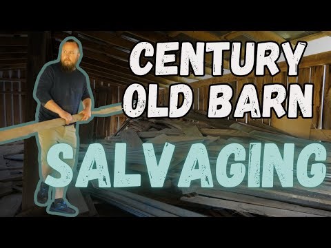 What I Found in the Old Barn Loft