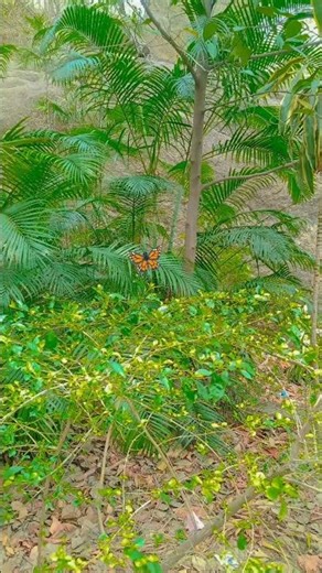 what a nature is coool