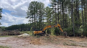 We’re excited to let you know that we broke ground on the Redbud Expansion area this week! This will help us increase the barn from 8,035 to 13,935 square feet, creating more sustainable, accessible space for elephant care and indoor areas where elephants can connect, socialize, and thrive year-round. Any tree that has been removed for the project will be repurposed in the habitats for the elephants to dine on and debark. Thus far, the elephants at Redbud seem to enjoy the root balls most! Redbu