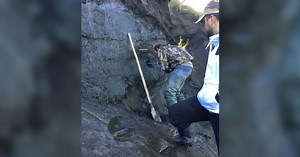 Cientistas revivem vírus "zumbi" que passou 48.500 anos congelado no permafrost | CNN Brasil