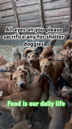 With your help 10$,20$30$we can make and bright life for our babies please sacrifice any for them