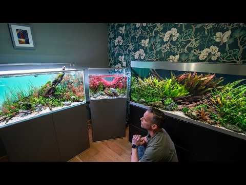 Goodbye to my Home Aquariums - My OASE planted tanks at their peak (4K)