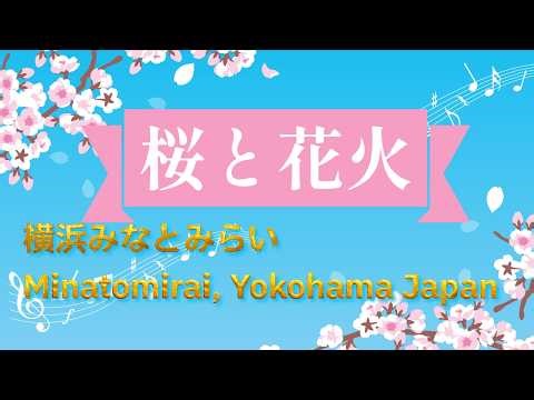 4K Cherry Blossoms & Fireworks in Yokohama, Japan 横浜桜と花火散歩編#solotraveler #traveljapan #cherryblossum