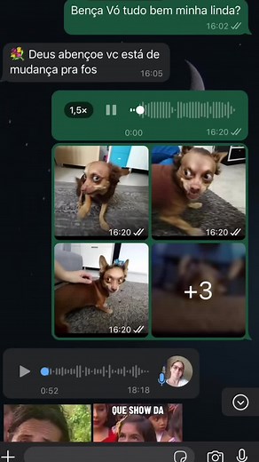 Cachorro lindo: dilemas com um cão feio