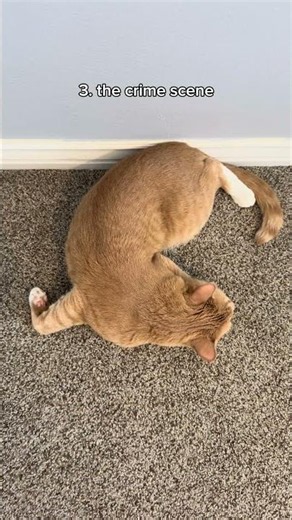 which sleeping position is your favorite?😂