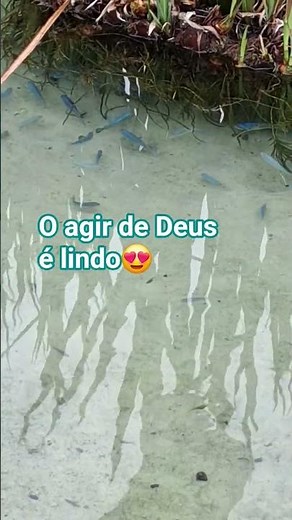 O agir de Deus é lindo #jesus #benção #jesus #motivação #seinscrevanocanal