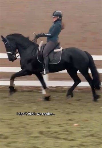 Achieving Goals in Dressage: The Journey of a Friesian Mare