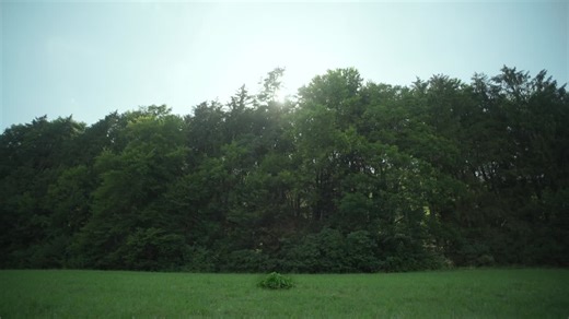 #marquardt #hiddenchampion #mechatronics #engineeringexcellence #innovationculture #100yearsmarquardt #confidenceintomorrow | Marquardt Group | 18 comments