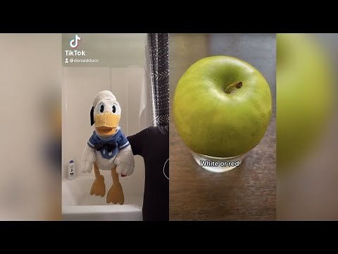 Donald Ducc Reacts To A Lot of Satisfying TikToks (TRY NOT TO LAUGH CHALLENGE) @DonaldDucc