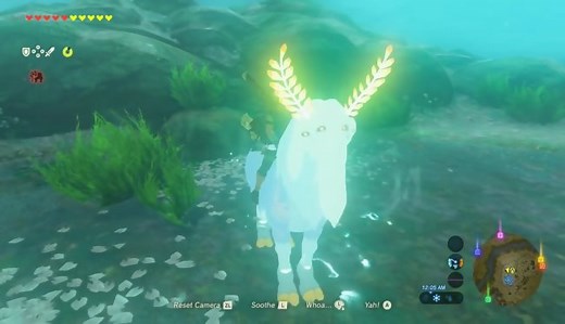 Zelda Breath of the Wild : voici comment capturer le "Cheval Alpha", appelé aussi "Lord of the Mountain"