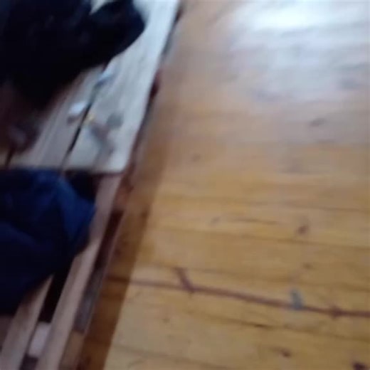 Cooking and Cleaning Around the House