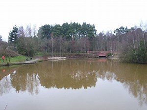 Forest Park, Bracknell Forest - Alchetron, the free social encyclopedia