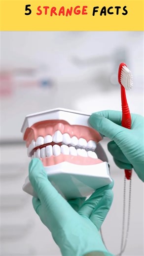 Amazing Facts #shorts #facts