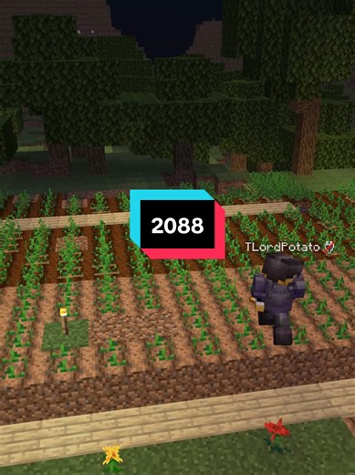 ##minecraft #patate #lordpotato
