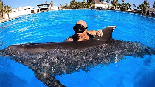 Roz Ryan on Instagram: "Ok this is going to be long so strap yourselves in 😢🤣 I’m about to share some information it took me a moment to process, but now I feel comfortable enough to share publicly, because somewhere it might be an Inspiration to someone who is going through something difficult. About 4 months ago in July I was diagnosed with Breast Prancer. No awes or tears please. I’m told its stage 1-2 I started treatment immediately. I’m now in my final rounds of Shemo (I had to change the