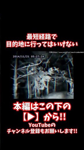 #shorts 【閲覧注意】絶対に放送されてはいけなかった裏番組がこちら【ホラー】【アナログホラー】【creepypasta】【都市伝説】