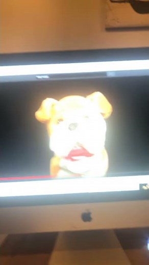 Baby Mozart dog
