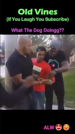 OG Old Vine: What the dog doing #vines #memes