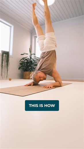 Sondre Berg (Berg Movement) on Instagram: "Who is struggling with this move? More info ⬇️ How to learn the forearm stand, or pincha if you’re a yogi 🧘 The main issues most people have: 1️⃣ No shoulder elevation. This is the same as shrugging your shoulders (moving your shoulders up to your ears). In a forearm stand, this will create more room between your head and the floor. 2️⃣ Poor shoulder flexion. This is the exaction of moving your arms overhead. In a forearm stand a good shoulder flexion 