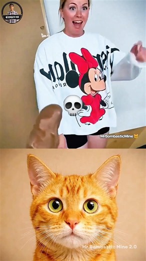 BOMBASTIC PRANK 🤣 #shorts #funny #cat #memes #viral #tiktoktrend #trending #jumpstyle